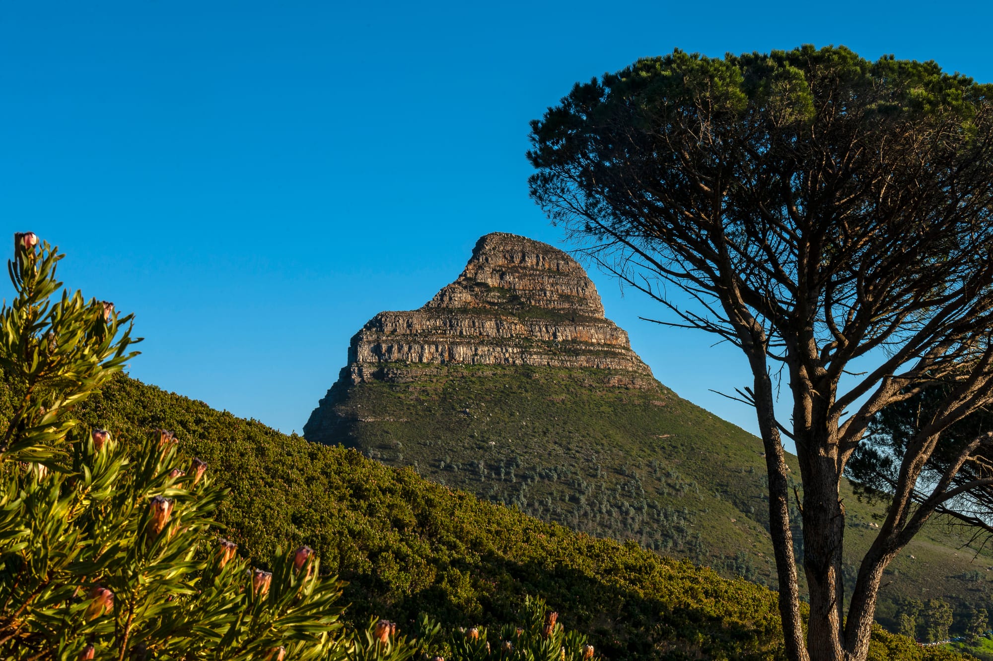 Lion’s Head Mountain overlooking Cape Town, the distant landmark Nelson Mandela gazed upon from Robben Island as a symbol of inner vision and freedom