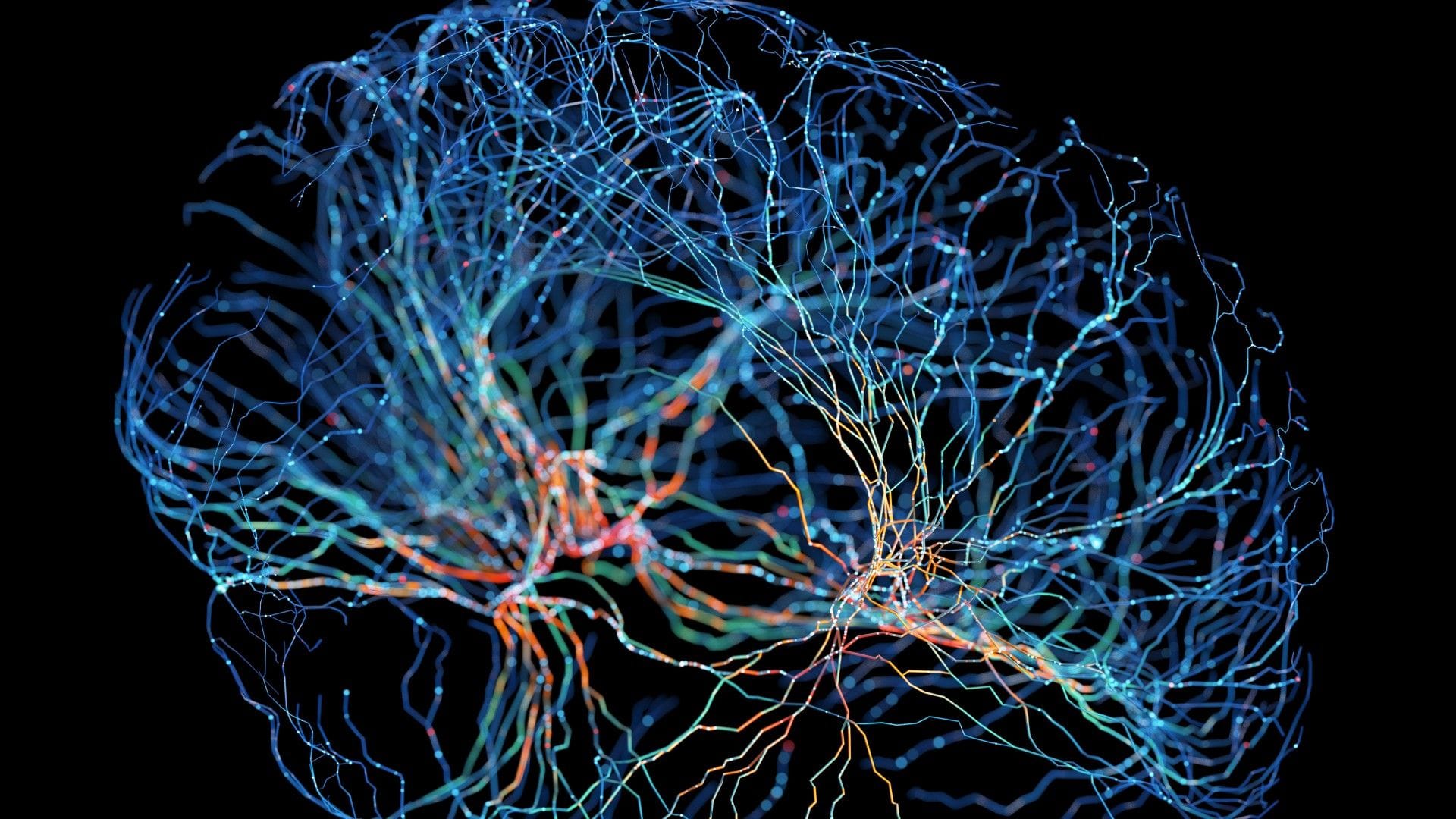 Neural pathways brain network illustration showing interconnected neurons involved in visualization and motor cortex activation
