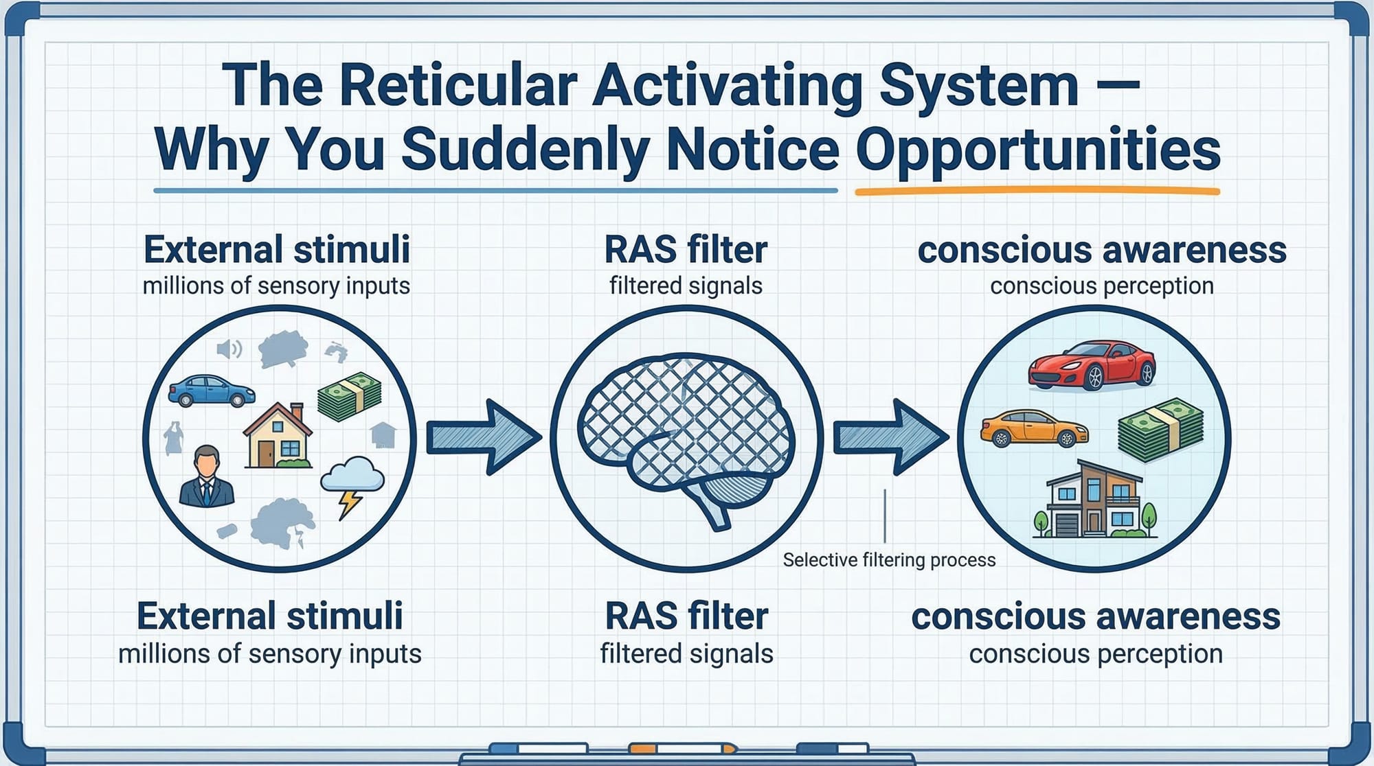 Reticular activating system diagram showing how the brain filters sensory information and directs attention