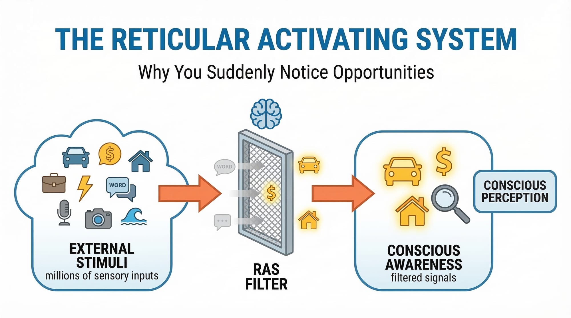 Reticular Activating System diagram showing how the brain filters external stimuli into conscious awareness and attention